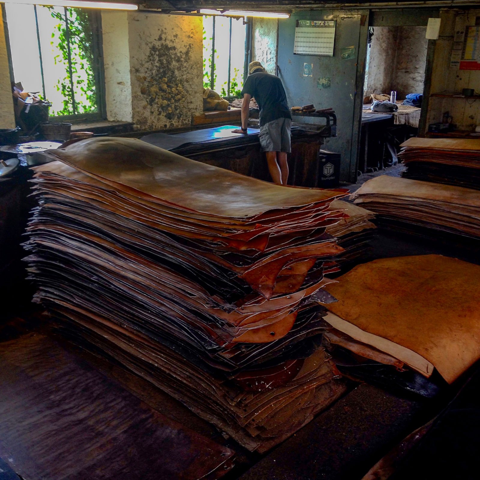 Applying tallow to oak bark tanned leather at J & FJ Baker Ltd